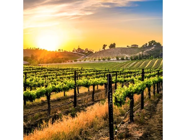 San Diego to Temecula - Wine Country tour plus Old Town Temecula
