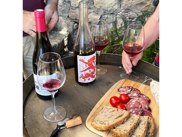 Visit to the Faugères Vineyards with Picnic from Béziers