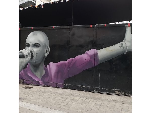 Guided Tour of Dublin in French