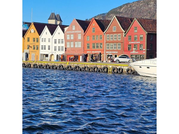 Shared Guided Walking Tour Visit of Bergen