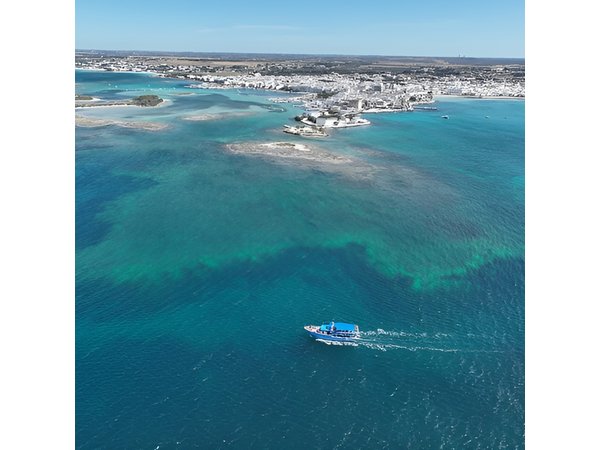 Boat tour Porto Cesareo Marine Protected Area
