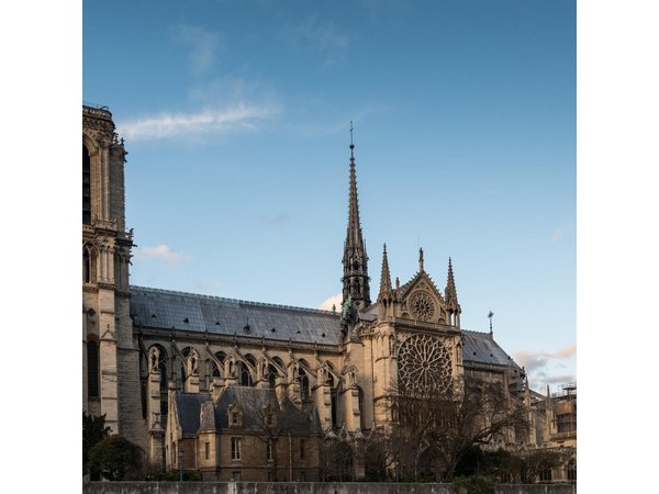 Notre Dame Paris Outdoor Tour with Crypt Entry