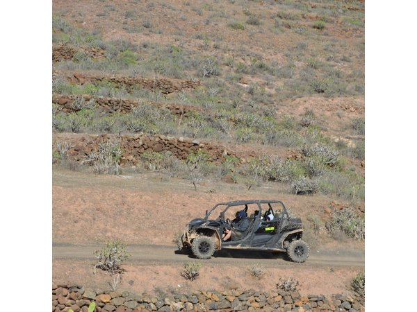 4-seater Mixed 2-hour Guided Buggy Volcano Tour in Lanzarote