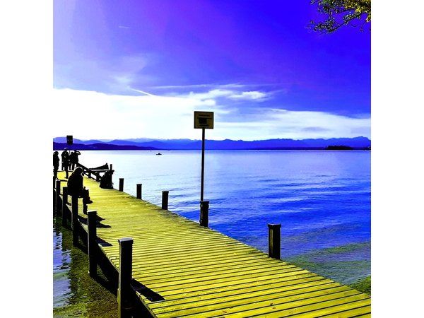 Comfort Mini-Van & Professional and FRiENDLY Guide: CUSTOMIZED 1-DAY TOUR from Munich