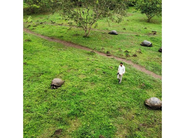 Meet a 150-Year-Old Giant Tortoise in the Galapagos Highlands