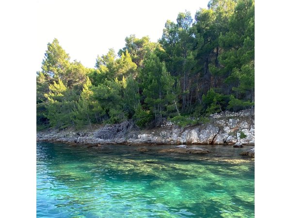 Experience Zadar Archipelago with Antares sailing shared tour