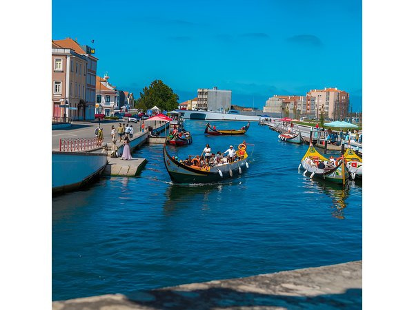 Coimbra & Aveiro Full Day Private Tour from Porto