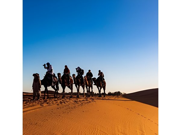 2-Day Desert Tour from Fes to Fes or Marrakech with Camel Trek