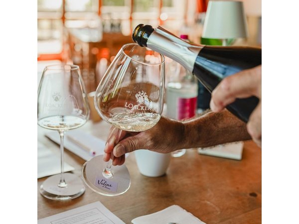 Winery tour & wine tasting in Montalcino