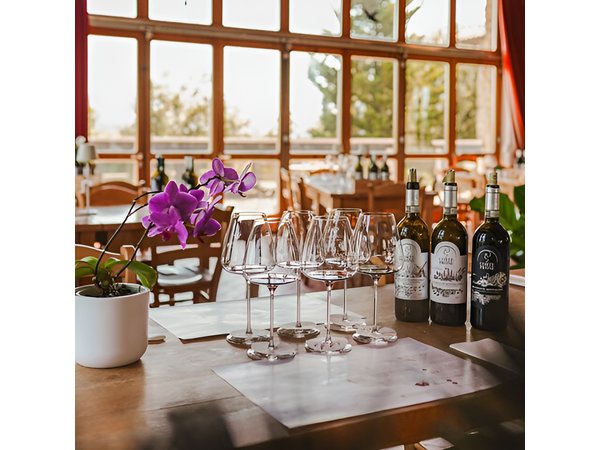 Classic Wine Tasting in Montalcino