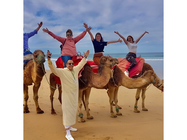 Tangier Day Trip: Explore the City’s Culture and History