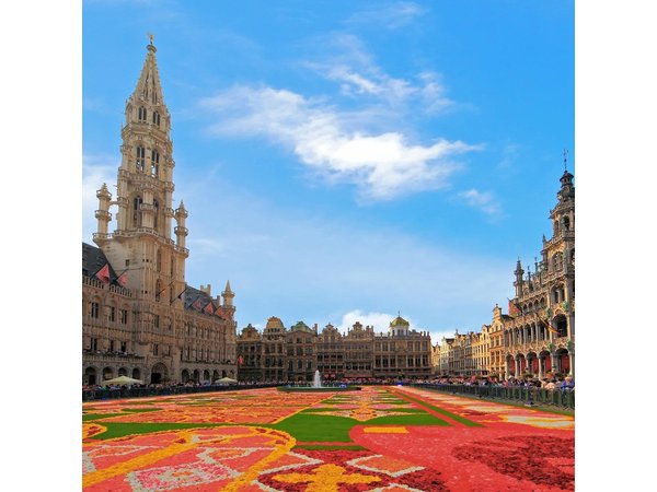 Best of Brussels Private Tour from Zeebrugge or Bruges