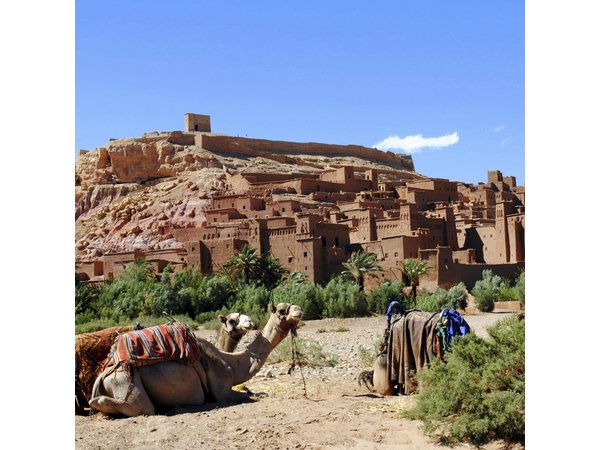 Private Day tour From Marrakech to Ouarzazate and Ait Ben Haddou
