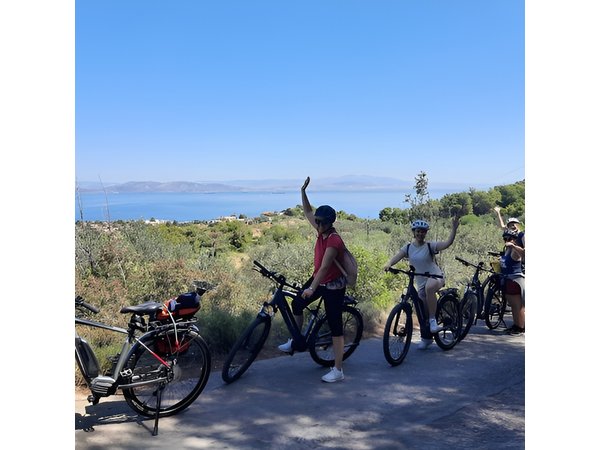 From Athens: Aegina Island E-bike & Walking Day Tour