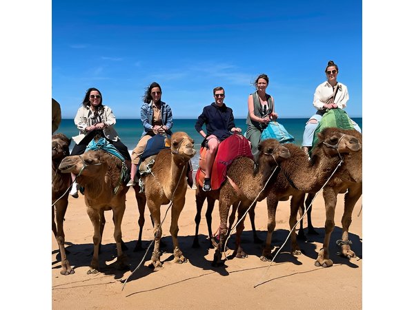 4 hour private Tour of Tangier