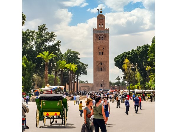 Half-Day Marrakech Highlights: Medina, Palaces, and More