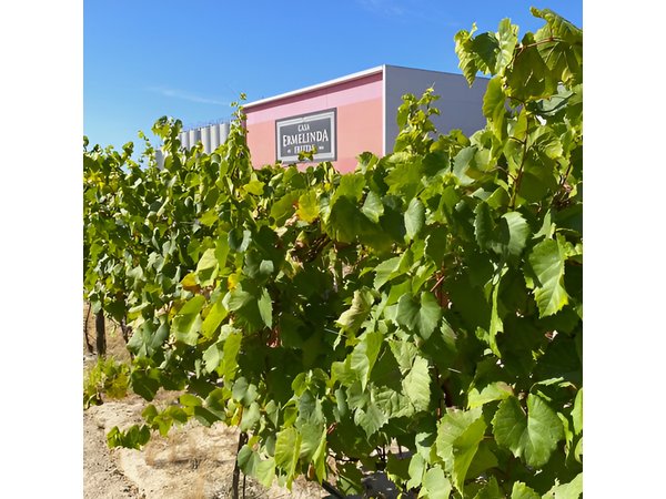 Lisbon Southern Region (Fernão Pó) Wine Tasting Private Tour