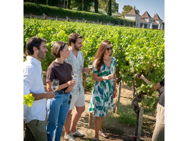 Setúbal: Winery & Fish Market Tasting Tour from Lisbon