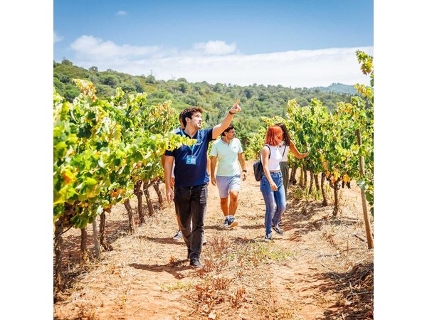 Arrabida and Sesimbra Small-Group Day Trip from Lisbon with Wine Tasting