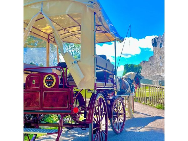 Killarney Jaunting Car Tour