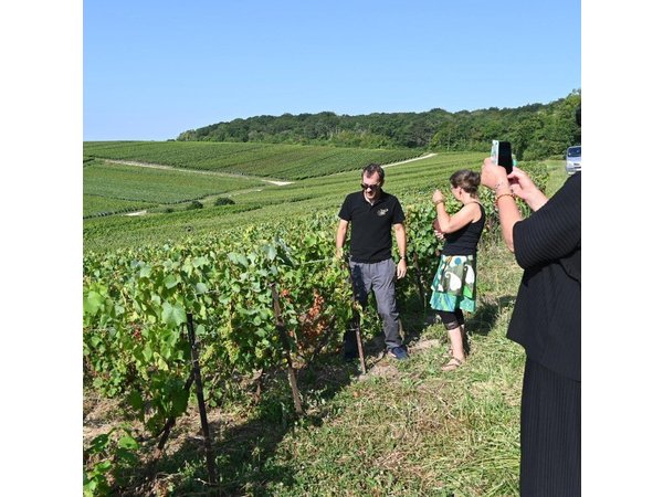 Check-out Reims: Discovery Vineyard and Tasting Champagne Coutant