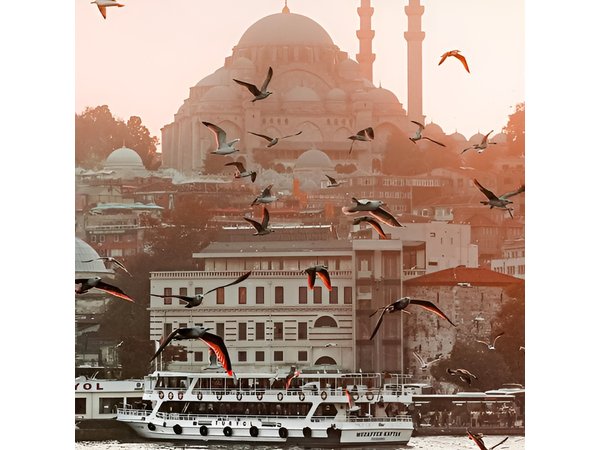 Istanbul: Bosphorus Cruise Tour