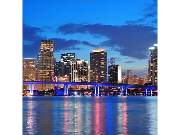 Miami Skyline Cruise Biscayne Bay Views & City Lights