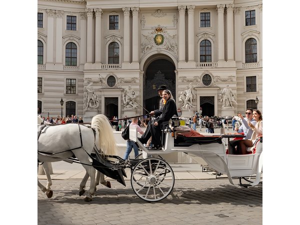 Vienna Horse-Drawn Carriage Ride with Sparkling Wine and Food