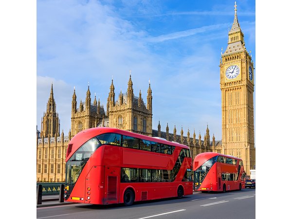 Private sightseeing chauffeured tour of London