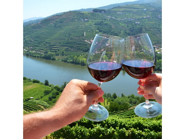 Porto: Douro Valley Wine Tour Including Lunch
