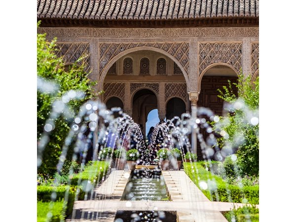 Granada and The Alhambra Private Tour From Malaga