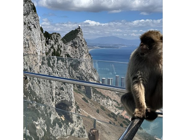 Gibraltar Private Tour From Marbella