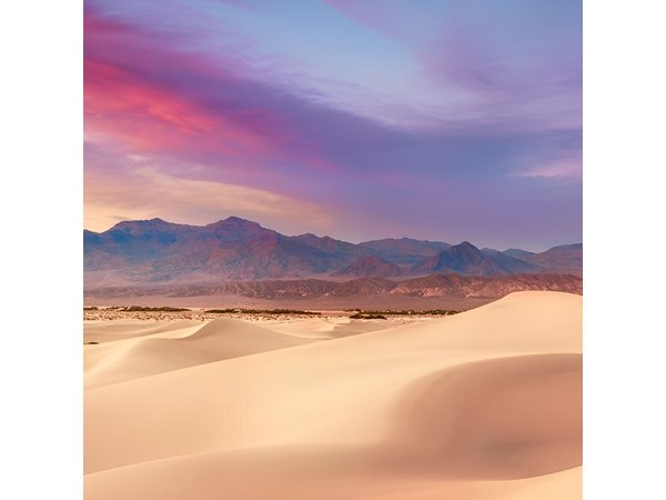 Death Valley Mojave Desert VIP Small Group Tour from Las Vegas