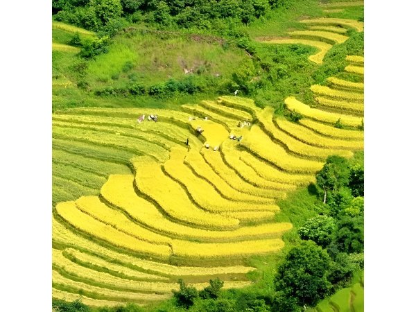 Sapa Motorbike Tour: O Quy HO Pass, Waterfall, Cat Cat Village