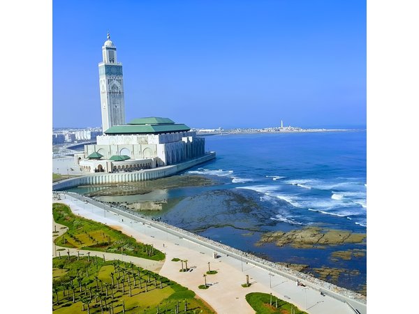 Casablanca Day Trip from Marrakech and Visit to the Grand Mosque
