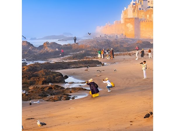 Private Full Day Trip Essaouira from Marrakech