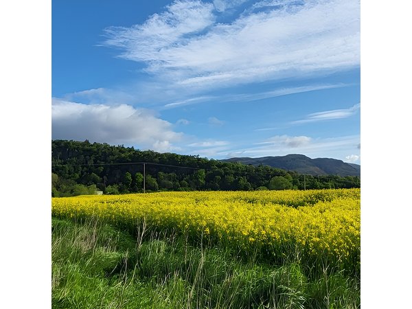 Stirling Run Tour