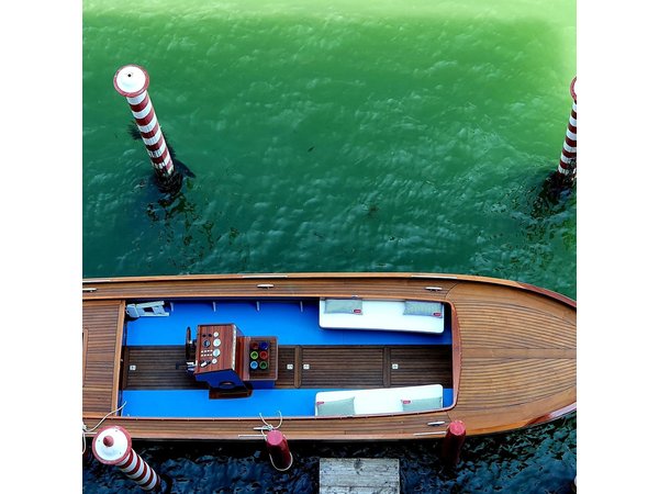 Venice, Canals & history on a private boat tour !
