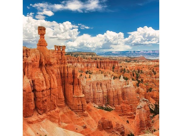 San Francisco: Yosemite, Las Vegas, Grand Canyon, 6-Day Tour