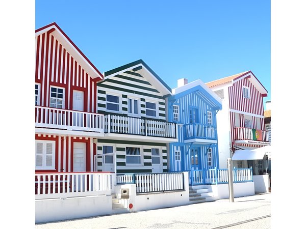 Aveiro & Costa Nova Tour from Porto with Moliceiro Cruise