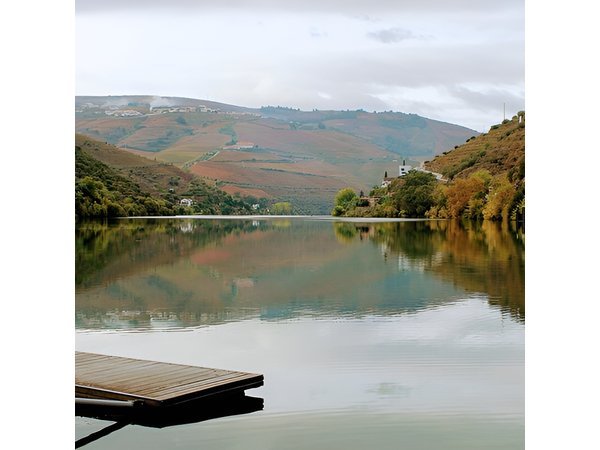 Private Tour Alto Douro: wines, hiking and cruise from Porto