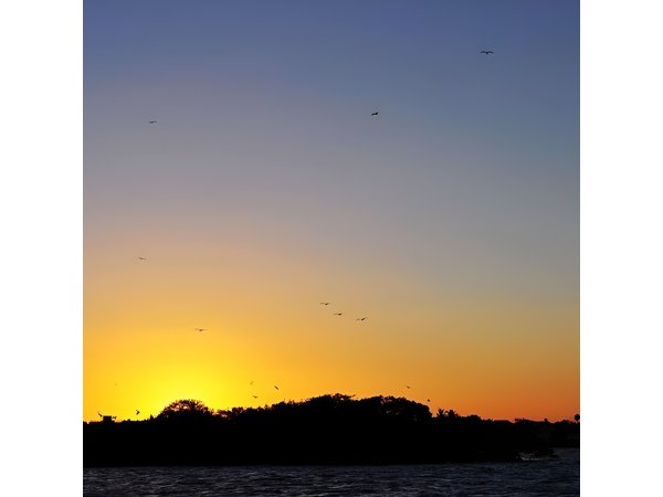 Sunset Cruise Fort Myers Beach