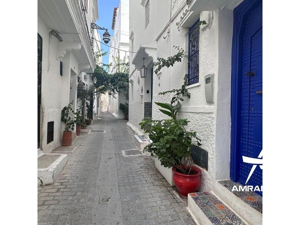 Private Day Trip from Seville to Tangier All Inclusive