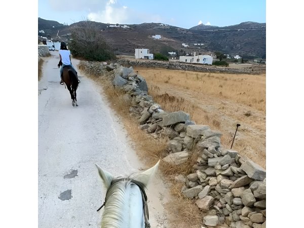 Awaken to Paros: A Scenic Morning Horseback Ride
