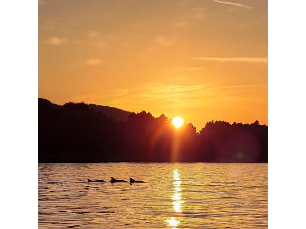 Dubrovnik Romantic Sunset Boat Tour
