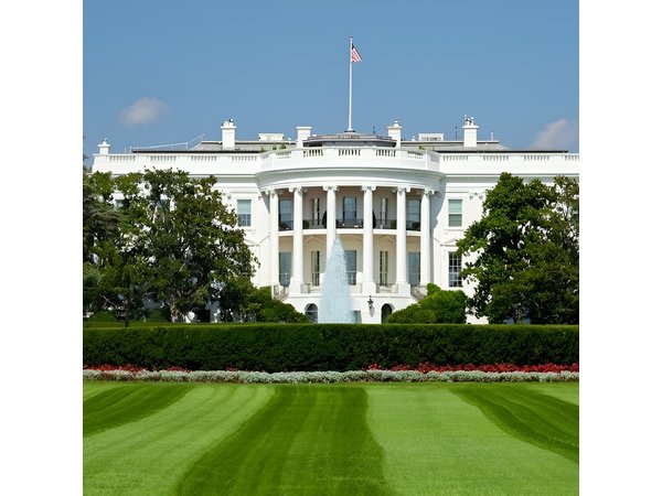 2 hours Mini Tour of Washington DC