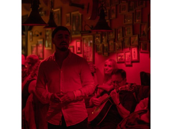 Lisbon Fado Experience: Walking Tour, Dinner and Live Music Show