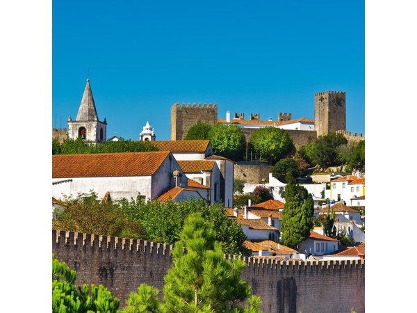 From Lisbon: Small Group to Fátima, Batalha, Nazaré & Óbidos