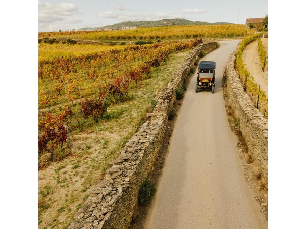 Two Day Tour of the Douro Valley