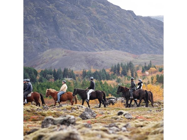 Icelandic Horseback Riding Tour with Pickup Option from Reykjavik